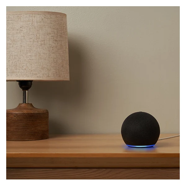 Amazon Echo Dot fifth generation in charcoal